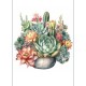 FLORAL BEAUTIES GREETING CARD Succulent 3